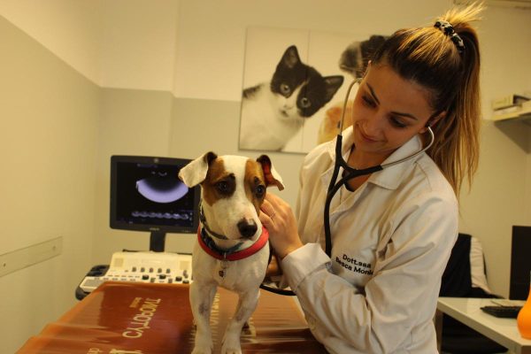 foto5-clinica-veterinaria-adriatico