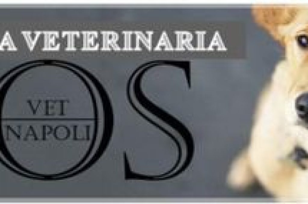 veterinaria-vet-napoli-logo-414w